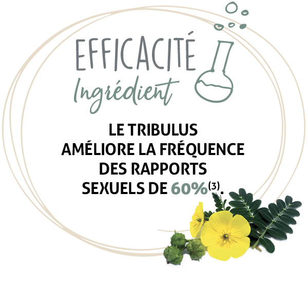 tribulus